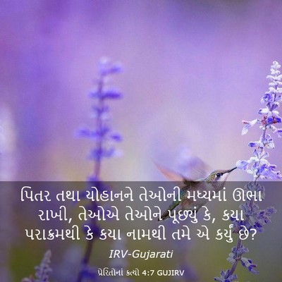 Picture 03 - પ્રેરિતોનાં ક્રત્યો 4:7 GUJIRV - પિતર તથા યોહાનને - Bible Verse Picture