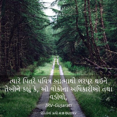 Picture 03 - પ્રેરિતોનાં ક્રત્યો 4:8 GUJIRV - ત્યારે પિતરે - Bible Verse Picture