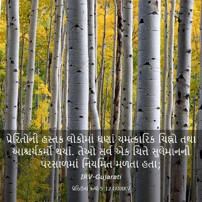 Picture 03 - પ્રેરિતોનાં ક્રત્યો 5:12 GUJIRV - પ્રેરિતોની હસ્તક - Bible Verse Picture