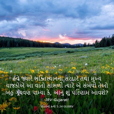 Picture 03 - પ્રેરિતોનાં ક્રત્યો 5:24 GUJIRV - હવે જ્યારે - Bible Verse Picture