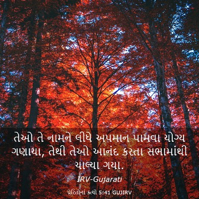 Picture 03 - પ્રેરિતોનાં ક્રત્યો 5:41 GUJIRV - તેઓ તે નામને લીધે - Bible Verse Picture
