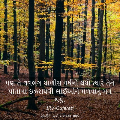 Picture 03 - પ્રેરિતોનાં ક્રત્યો 7:23 GUJIRV - પણ તે લગભગ ચાળીસ - Bible Verse Picture