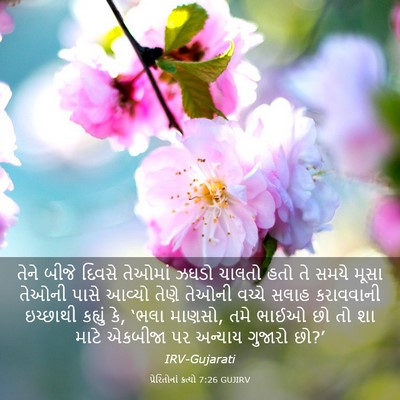 Picture 03 - પ્રેરિતોનાં ક્રત્યો 7:26 GUJIRV - તેને બીજે દિવસે - Bible Verse Picture
