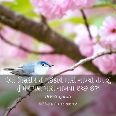 Picture 03 - પ્રેરિતોનાં ક્રત્યો 7:28 GUJIRV - પેલા મિસરીને તેં - Bible Verse Picture