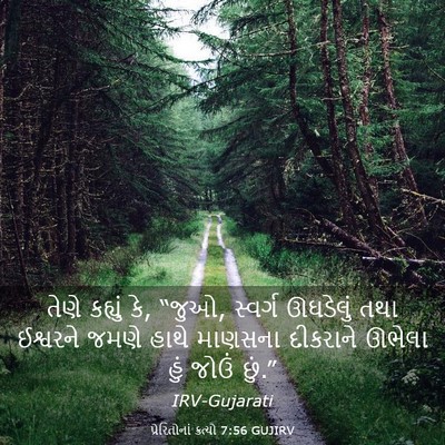 Picture 03 - પ્રેરિતોનાં ક્રત્યો 7:56 GUJIRV - તેણે કહ્યું કે, - Bible Verse Picture