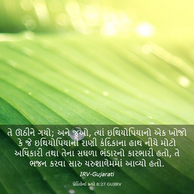 Picture 03 - પ્રેરિતોનાં ક્રત્યો 8:27 GUJIRV - તે ઊઠીને ગયો; અને - Bible Verse Picture