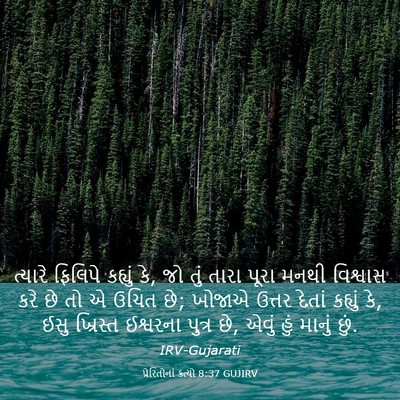 Picture 03 - પ્રેરિતોનાં ક્રત્યો 8:37 GUJIRV - ત્યારે ફિલિપે - Bible Verse Picture