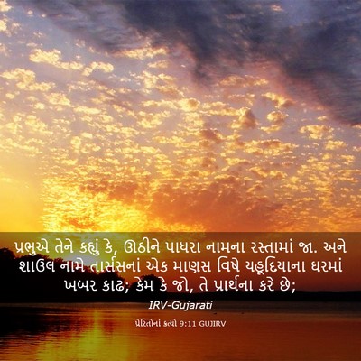 Picture 03 - પ્રેરિતોનાં ક્રત્યો 9:11 GUJIRV - પ્રભુએ તેને - Bible Verse Picture