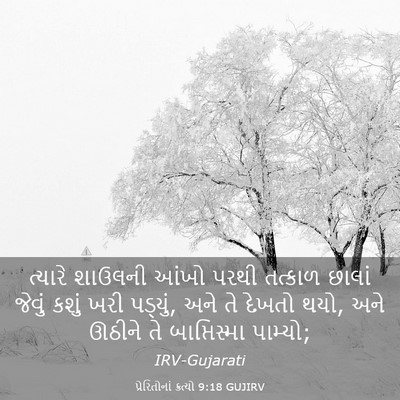Picture 03 - પ્રેરિતોનાં ક્રત્યો 9:18 GUJIRV - ત્યારે શાઉલની - Bible Verse Picture