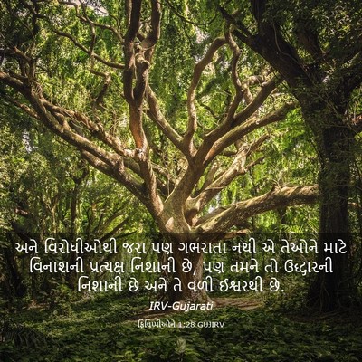 Picture 03 - ફિલિપ્પીઓને 1:28 GUJIRV - અને વિરોધીઓથી જરા - Bible Verse Picture