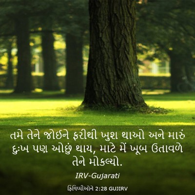 Picture 03 - ફિલિપ્પીઓને 2:28 GUJIRV - તમે તેને જોઈને - Bible Verse Picture