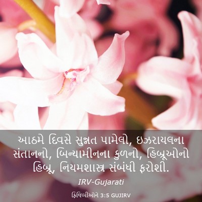 Picture 03 - ફિલિપ્પીઓને 3:5 GUJIRV - આઠમે દિવસે સુન્નત - Bible Verse Picture
