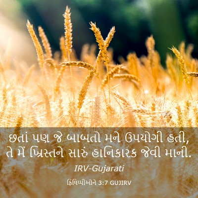 Picture 03 - ફિલિપ્પીઓને 3:7 GUJIRV - છતાં પણ જે બાબતો - Bible Verse Picture