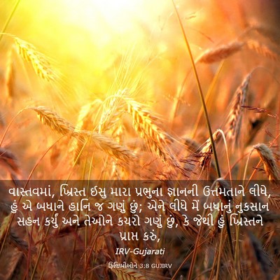Picture 03 - ફિલિપ્પીઓને 3:8 GUJIRV - વાસ્તવમાં, - Bible Verse Picture