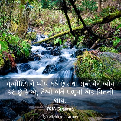 Picture 03 - ફિલિપ્પીઓને 4:2 GUJIRV - યુઓદિયાને બોધ - Bible Verse Picture