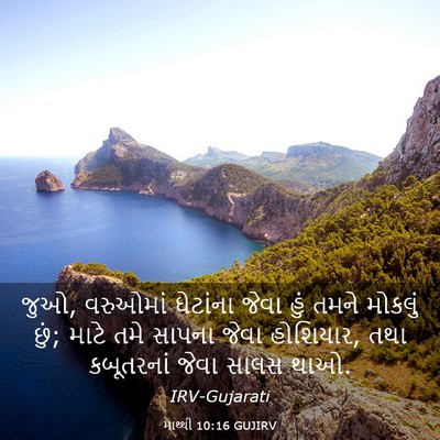 Picture 03 - માથ્થી 10:16 GUJIRV - જુઓ, વરુઓમાં - Bible Verse Picture