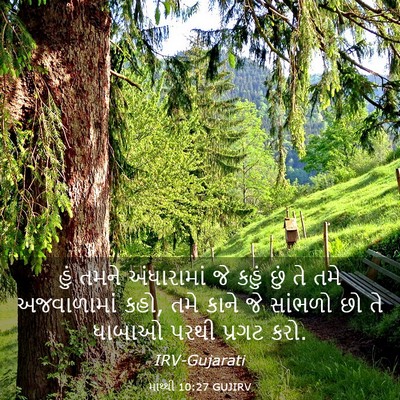 Picture 03 - માથ્થી 10:27 GUJIRV - હું તમને - Bible Verse Picture