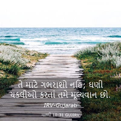 Picture 03 - માથ્થી 10:31 GUJIRV - તે માટે ગભરાશો નહિ; - Bible Verse Picture