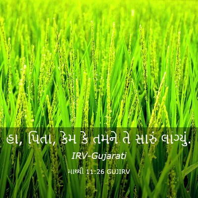 Picture 03 - માથ્થી 11:26 GUJIRV - હા, પિતા, કેમ કે - Bible Verse Picture