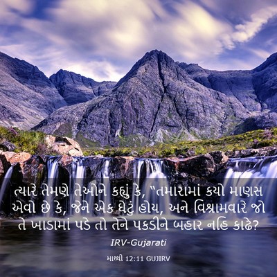 Picture 03 - માથ્થી 12:11 GUJIRV - ત્યારે તેમણે - Bible Verse Picture