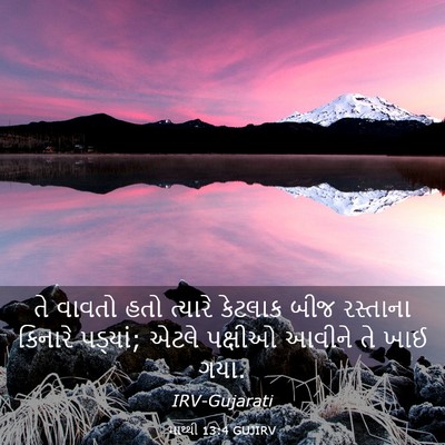 Picture 03 - માથ્થી 13:4 GUJIRV - તે વાવતો હતો - Bible Verse Picture