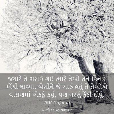 Picture 03 - માથ્થી 13:48 GUJIRV - જયારે તે ભરાઈ ગઈ - Bible Verse Picture