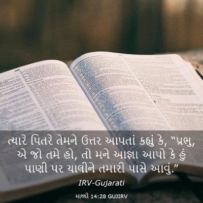 Picture 03 - માથ્થી 14:28 GUJIRV - ત્યારે પિતરે - Bible Verse Picture