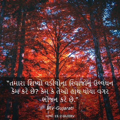 Picture 03 - માથ્થી 15:2 GUJIRV - “તમારા શિષ્યો - Bible Verse Picture