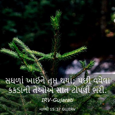 Picture 03 - માથ્થી 15:37 GUJIRV - સઘળાં ખાઈને તૃપ્ત - Bible Verse Picture