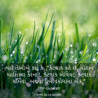Picture 03 - માથ્થી 16:14 GUJIRV - ત્યારે તેઓએ - Bible Verse Picture