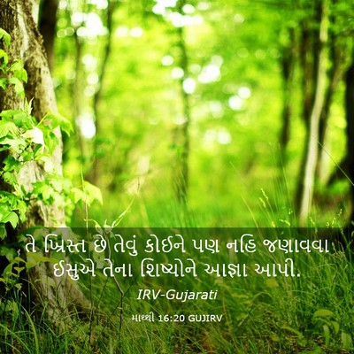 Picture 03 - માથ્થી 16:20 GUJIRV - તે ખ્રિસ્ત છે - Bible Verse Picture