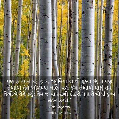 Picture 03 - માથ્થી 17:12 GUJIRV - પણ હું તમને કહું - Bible Verse Picture