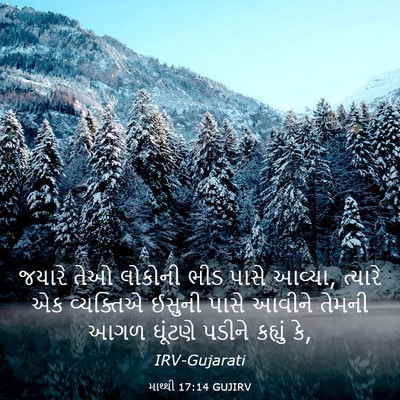 Picture 03 - માથ્થી 17:14 GUJIRV - જયારે તેઓ લોકોની - Bible Verse Picture