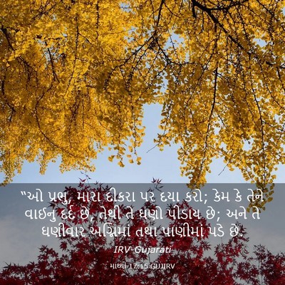 Picture 03 - માથ્થી 17:15 GUJIRV - “ઓ પ્રભુ, મારા - Bible Verse Picture
