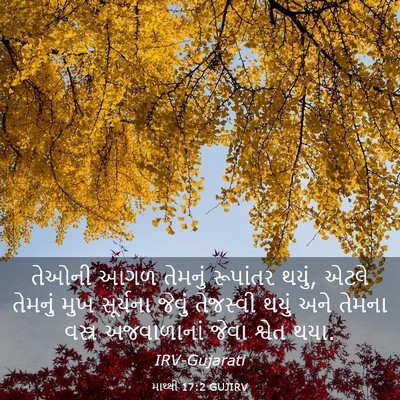 Picture 03 - માથ્થી 17:2 GUJIRV - તેઓની આગળ તેમનું - Bible Verse Picture