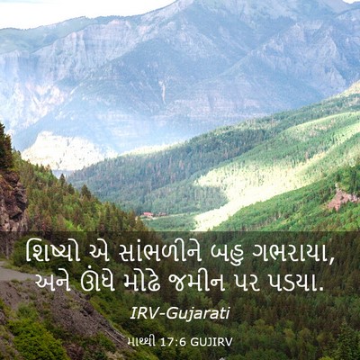 Picture 03 - માથ્થી 17:6 GUJIRV - શિષ્યો એ સાંભળીને - Bible Verse Picture