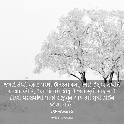 Picture 03 - માથ્થી 17:9 GUJIRV - જયારે તેઓ પહાડ - Bible Verse Picture