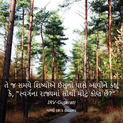 Picture 03 - માથ્થી 18:1 GUJIRV - તે જ સમયે શિષ્યોએ - Bible Verse Picture