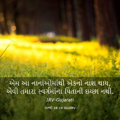 Picture 03 - માથ્થી 18:14 GUJIRV - એમ આ નાનાંઓમાંથી - Bible Verse Picture