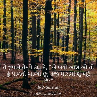Picture 03 - માથ્થી 19:20 GUJIRV - તે જુવાને તેમને - Bible Verse Picture