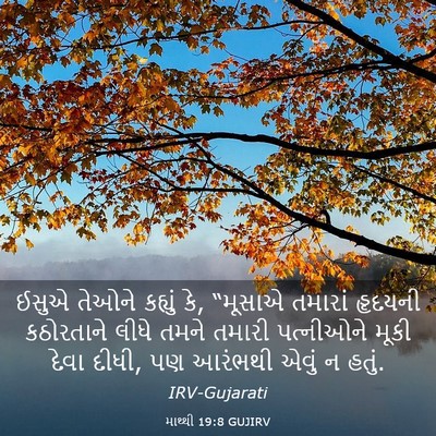 Picture 03 - માથ્થી 19:8 GUJIRV - ઈસુએ તેઓને કહ્યું - Bible Verse Picture