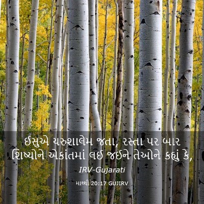 Picture 03 - માથ્થી 20:17 GUJIRV - ઈસુએ યરુશાલેમ જતા, - Bible Verse Picture