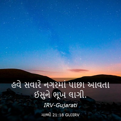 Picture 03 - માથ્થી 21:18 GUJIRV - હવે સવારે નગરમાં - Bible Verse Picture