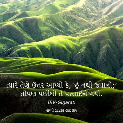 Picture 03 - માથ્થી 21:29 GUJIRV - ત્યારે તેણે ઉત્તર - Bible Verse Picture