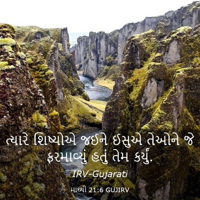 Picture 03 - માથ્થી 21:6 GUJIRV - ત્યારે શિષ્યોએ - Bible Verse Picture