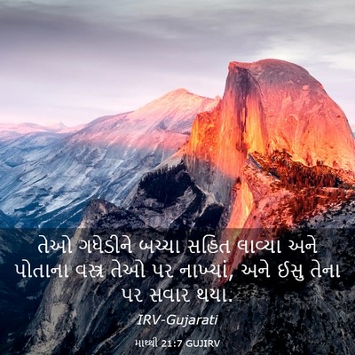 Picture 03 - માથ્થી 21:7 GUJIRV - તેઓ ગધેડીને બચ્ચા - Bible Verse Picture