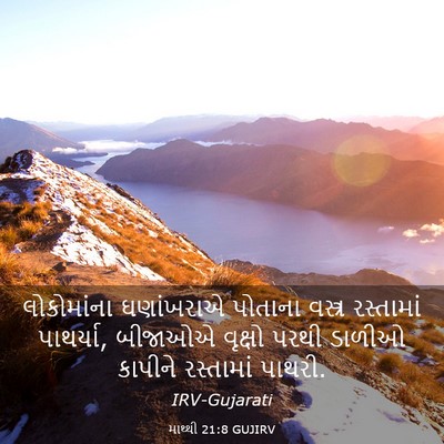 Picture 03 - માથ્થી 21:8 GUJIRV - લોકોમાંના - Bible Verse Picture