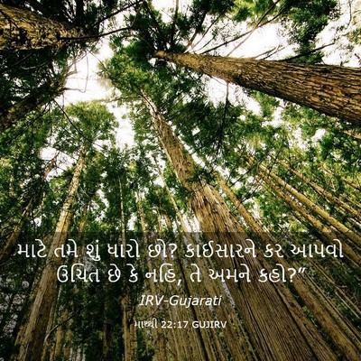 Picture 03 - માથ્થી 22:17 GUJIRV - માટે તમે શું ધારો - Bible Verse Picture