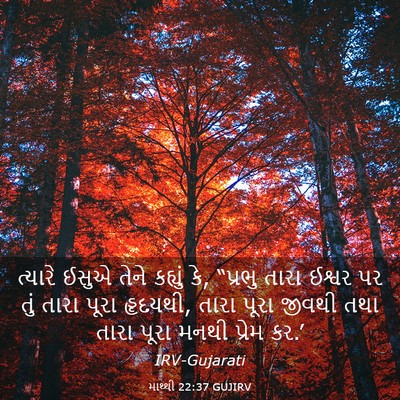 Picture 03 - માથ્થી 22:37 GUJIRV - ત્યારે ઈસુએ તેને - Bible Verse Picture