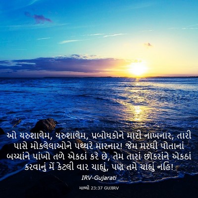 Picture 03 - માથ્થી 23:37 GUJIRV - ઓ યરુશાલેમ, - Bible Verse Picture